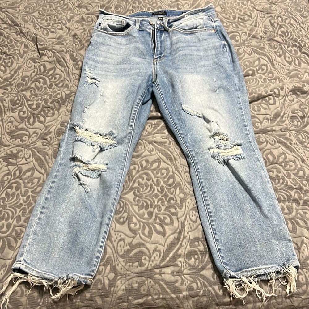 14W Judy Blue Jeans